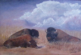 Buffalo 1