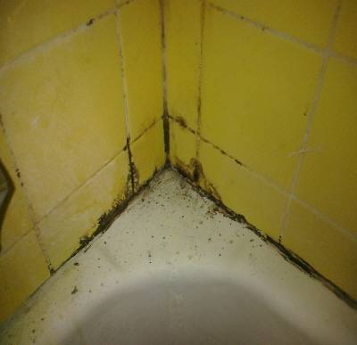 Moldy tub