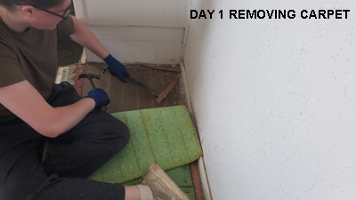 10DAY1CARPET 10DAY1CARPET