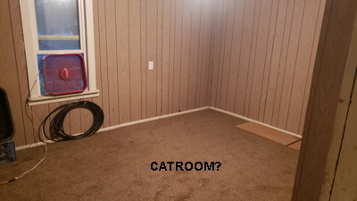 6CATROOM 6CATROOM