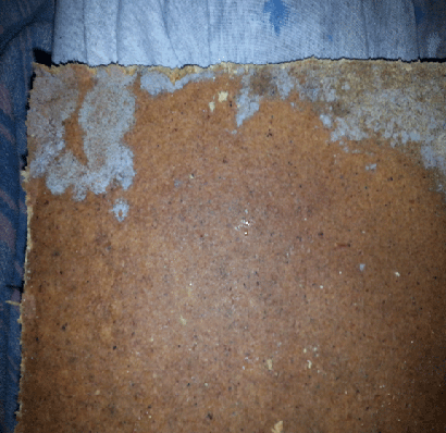 Mold-under-Cabinet